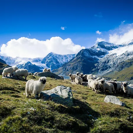 Ξενοδοχείο Wellness Alpenhof