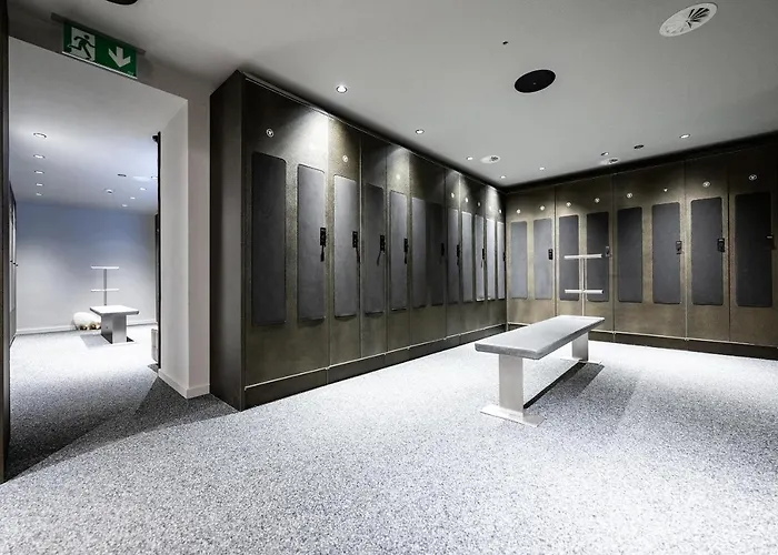 ウェルネス アルペンホフ ホテル ツェルマット