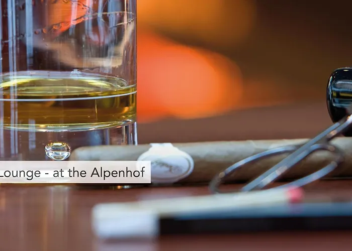 ウェルネス アルペンホフ 4*