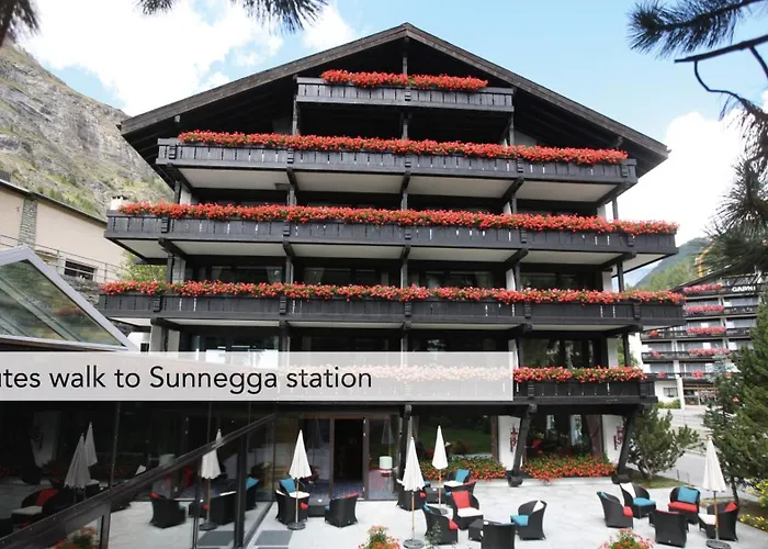 ウェルネス アルペンホフ ホテル