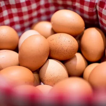 Hotel Wellness Alpenhof